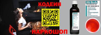 индика Новодвинск