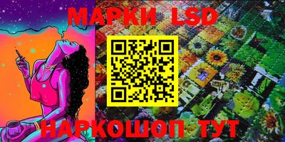 индика Новодвинск