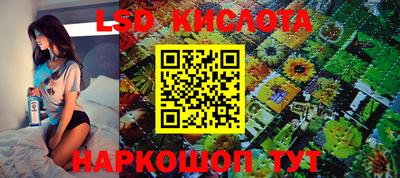 прущие крисы Новокубанск