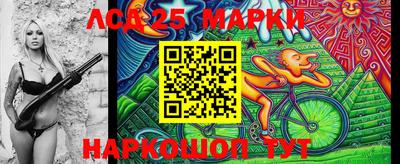 индика Новодвинск