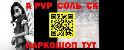 индика Новодвинск