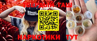 индика Новодвинск
