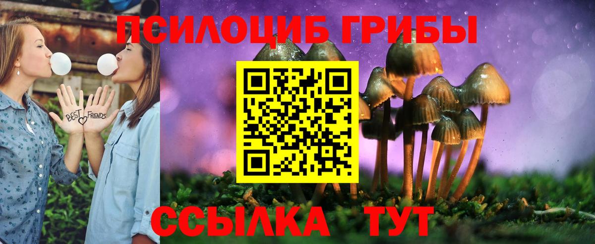Сальск  где найти   Вход с VPN  Галлюциногенные грибы Cubensis 